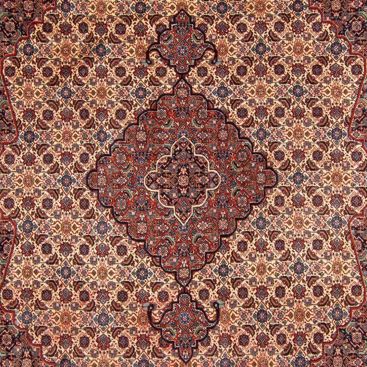 Alfombra persa - Nómada - 343 x 267 cm - marrón