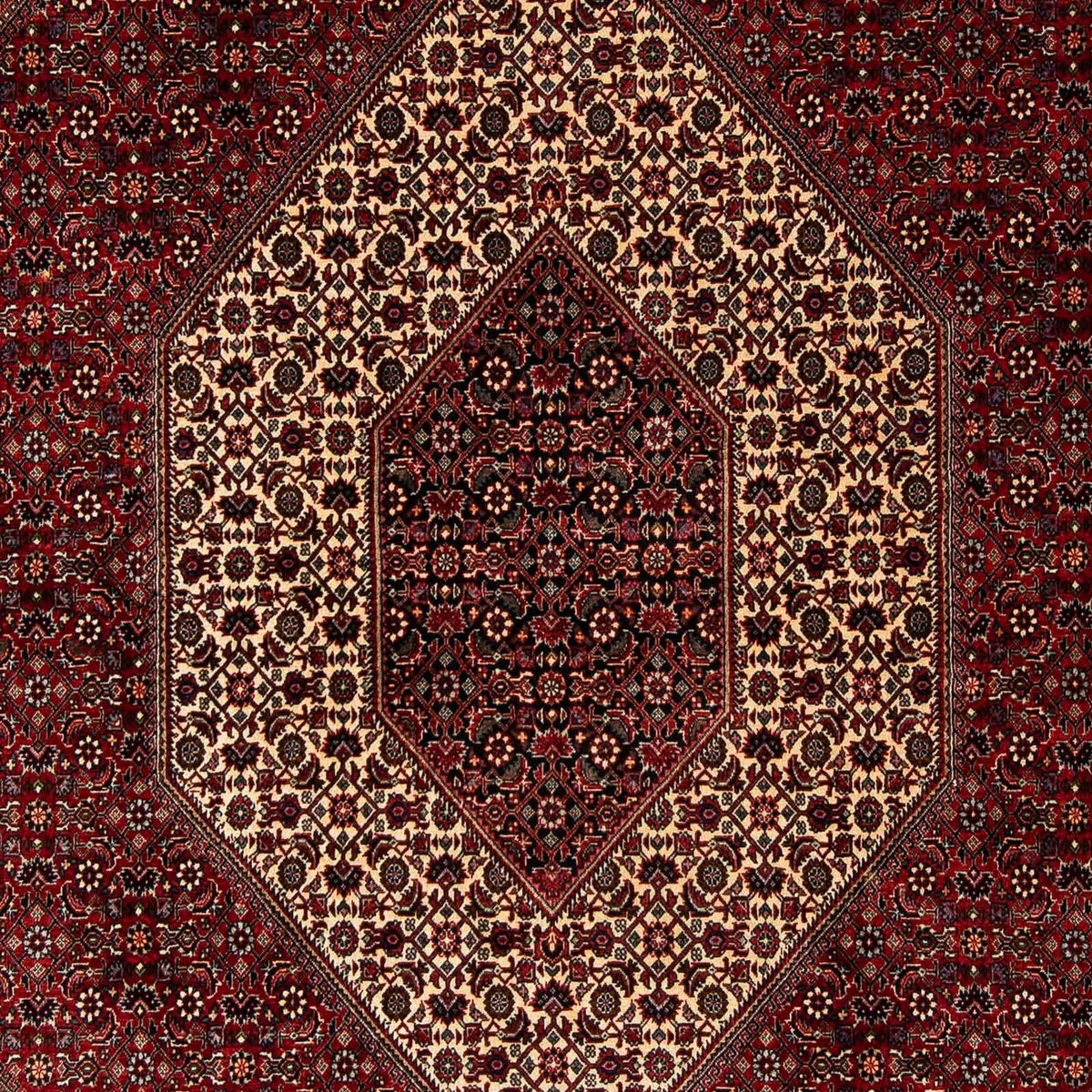 Alfombra persa - Bidjar - 251 x 201 cm - rojo oscuro