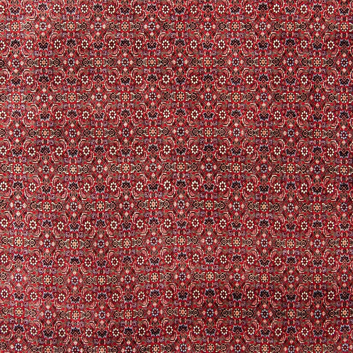 Alfombra persa - Bidjar - 300 x 253 cm - rojo oscuro