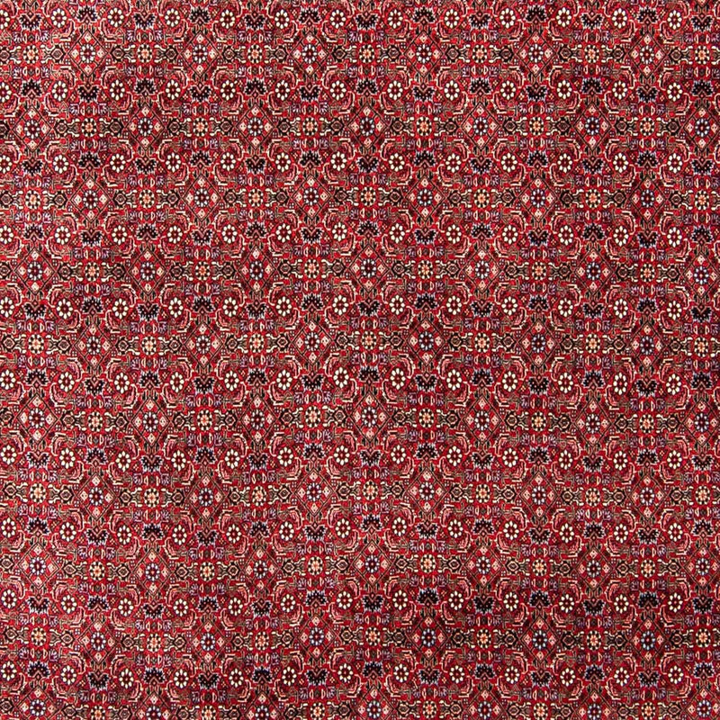 Alfombra persa - Bidjar - 300 x 253 cm - rojo oscuro