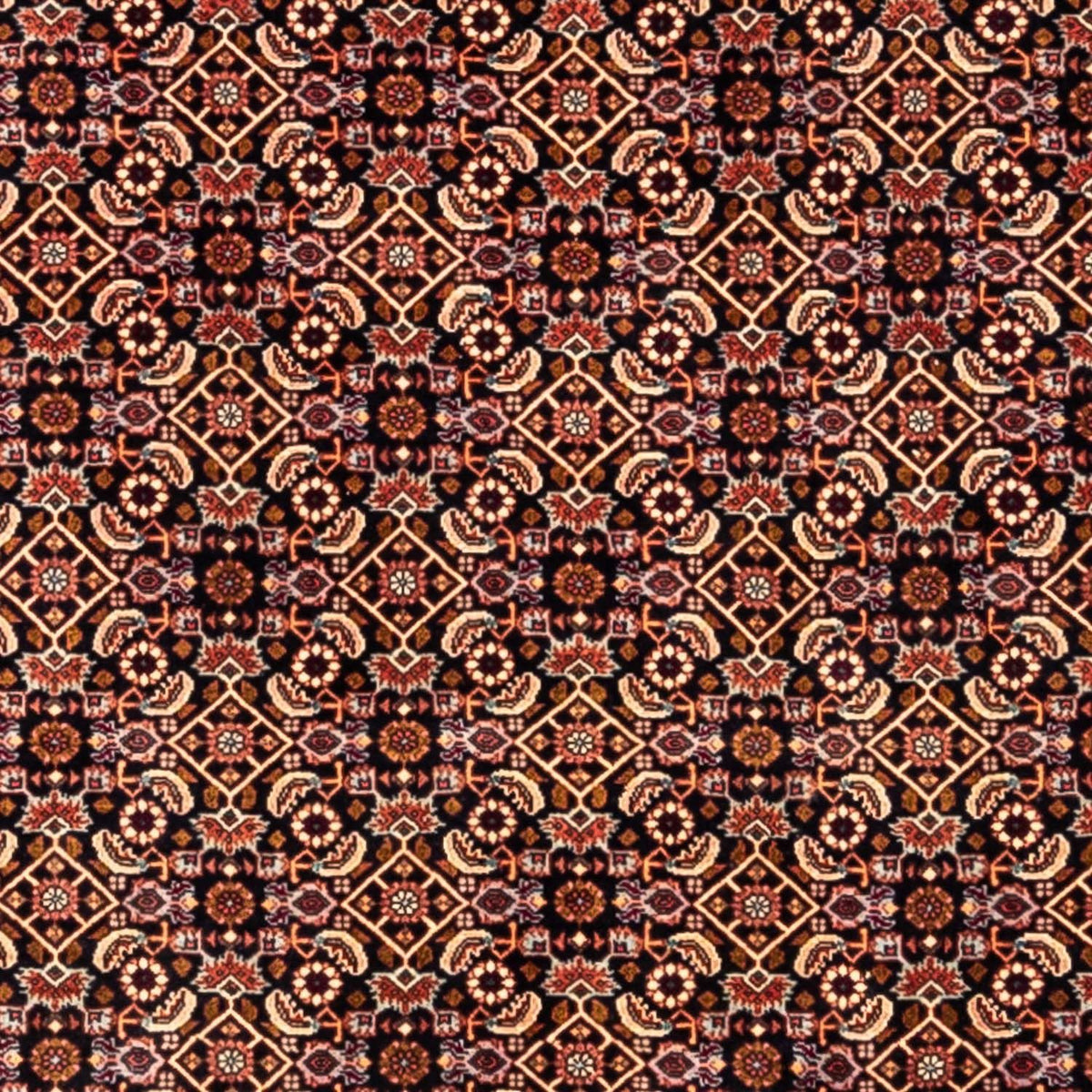 Alfombra persa - Bidjar - 298 x 202 cm - negro