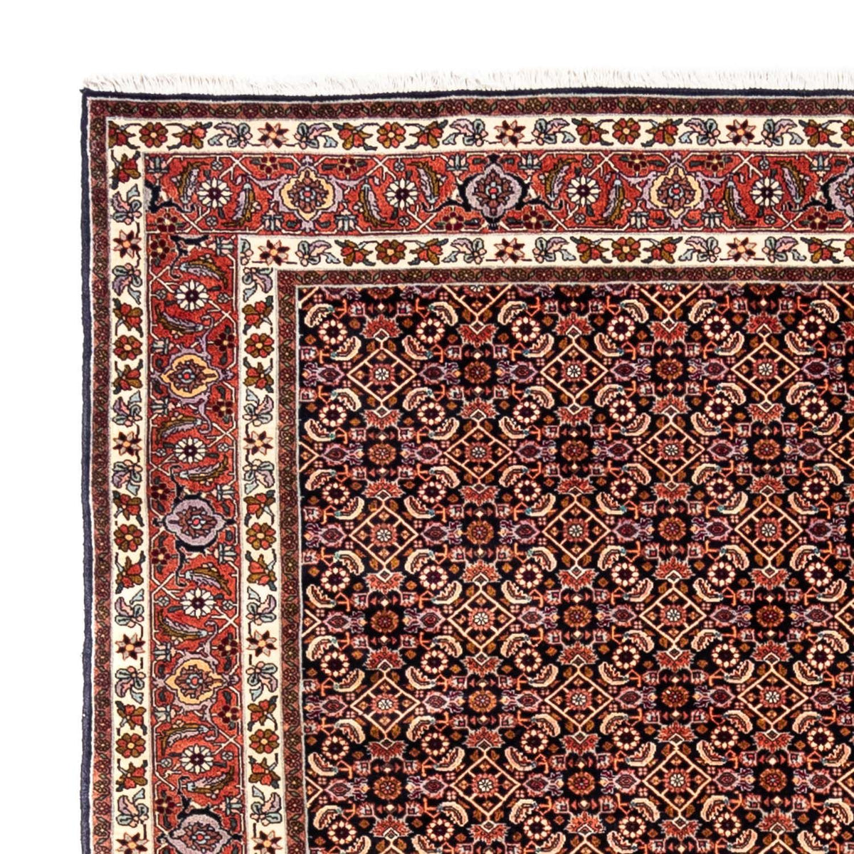 Alfombra persa - Bidjar - 298 x 202 cm - negro