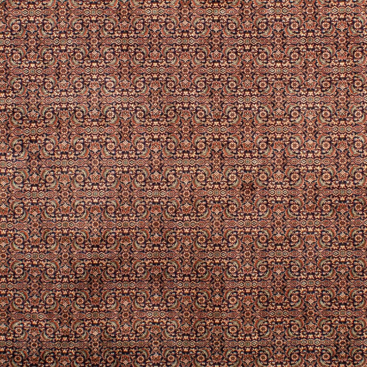 Alfombra persa - Bidjar - 298 x 202 cm - multicolor