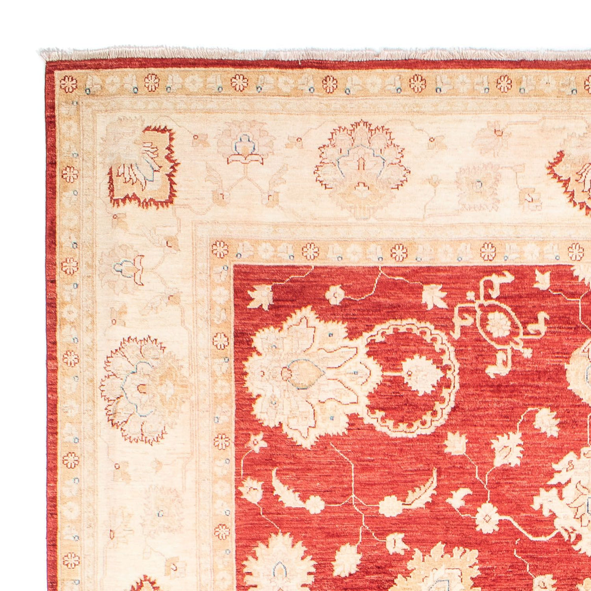 Alfombra Ziegler - 310 x 243 cm - rojo