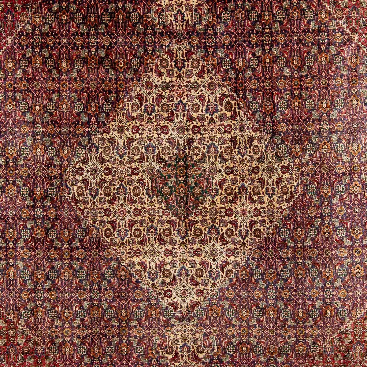 Alfombra persa - Tabriz - 392 x 310 cm - multicolor