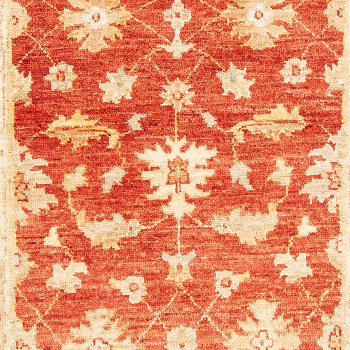 Alfombra de pasillo Alfombra Ziegler - 263 x 73 cm - óxido