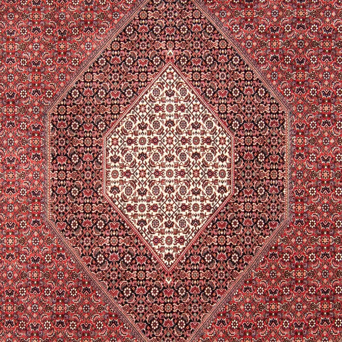 Alfombra persa - Bidjar - 310 x 250 cm - rojo