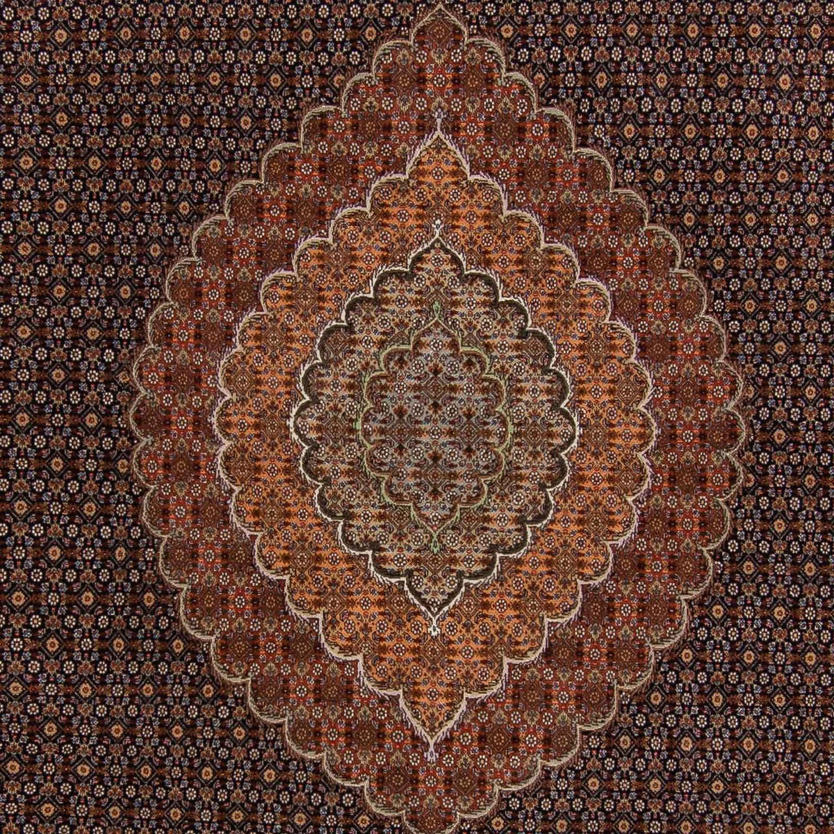Alfombra persa - Tabriz - 359 x 252 cm - marrón