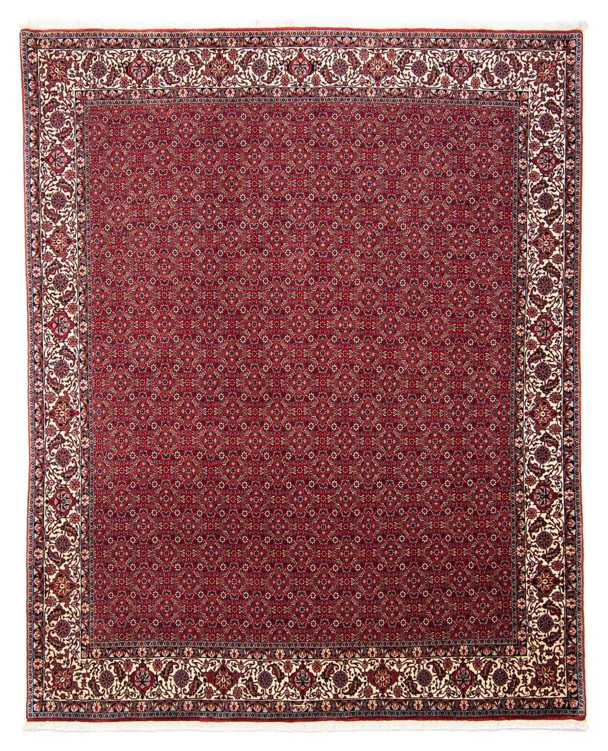 Alfombra persa - Bidjar - 297 x 247 cm - rojo