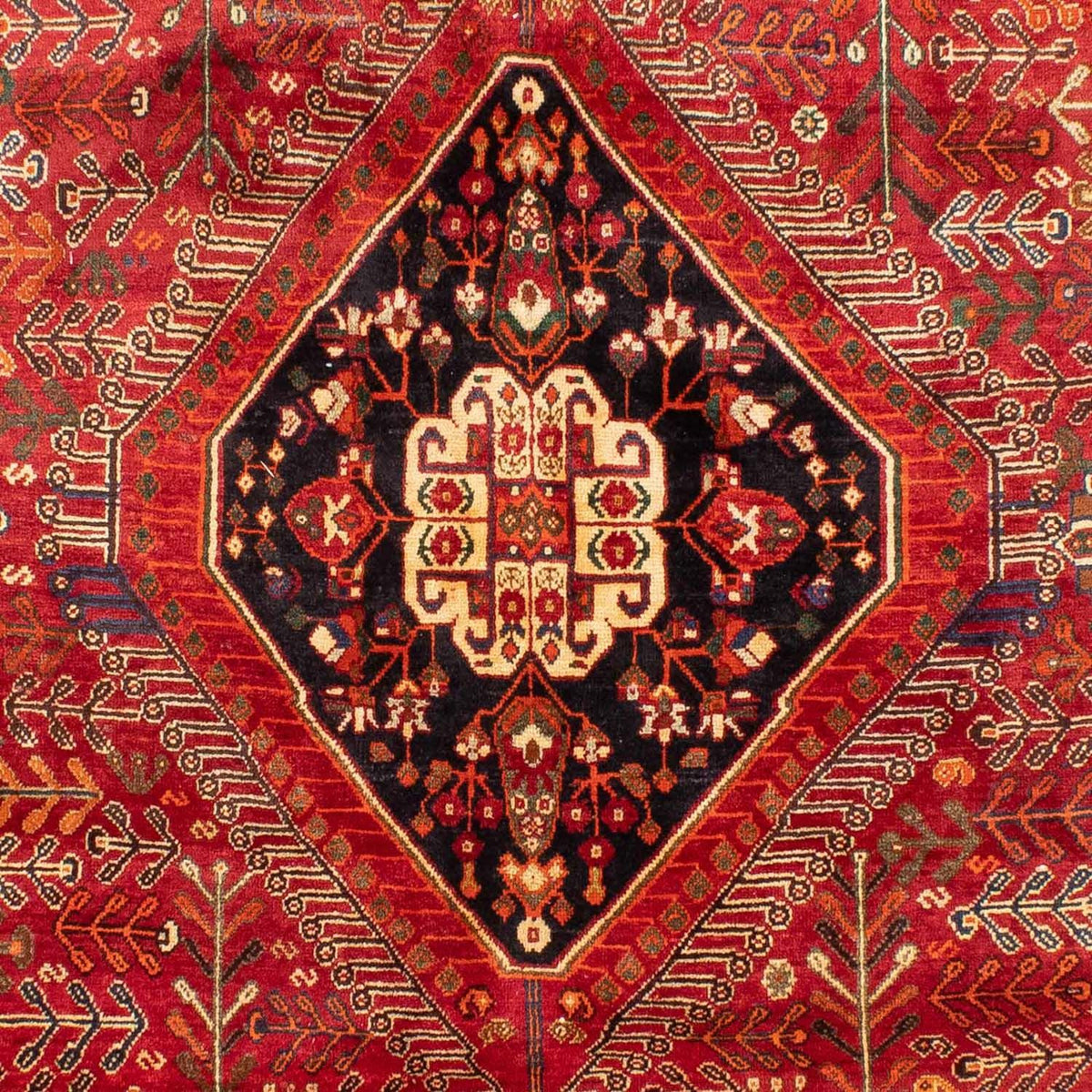 Alfombra persa - Nómada - 270 x 190 cm - rojo