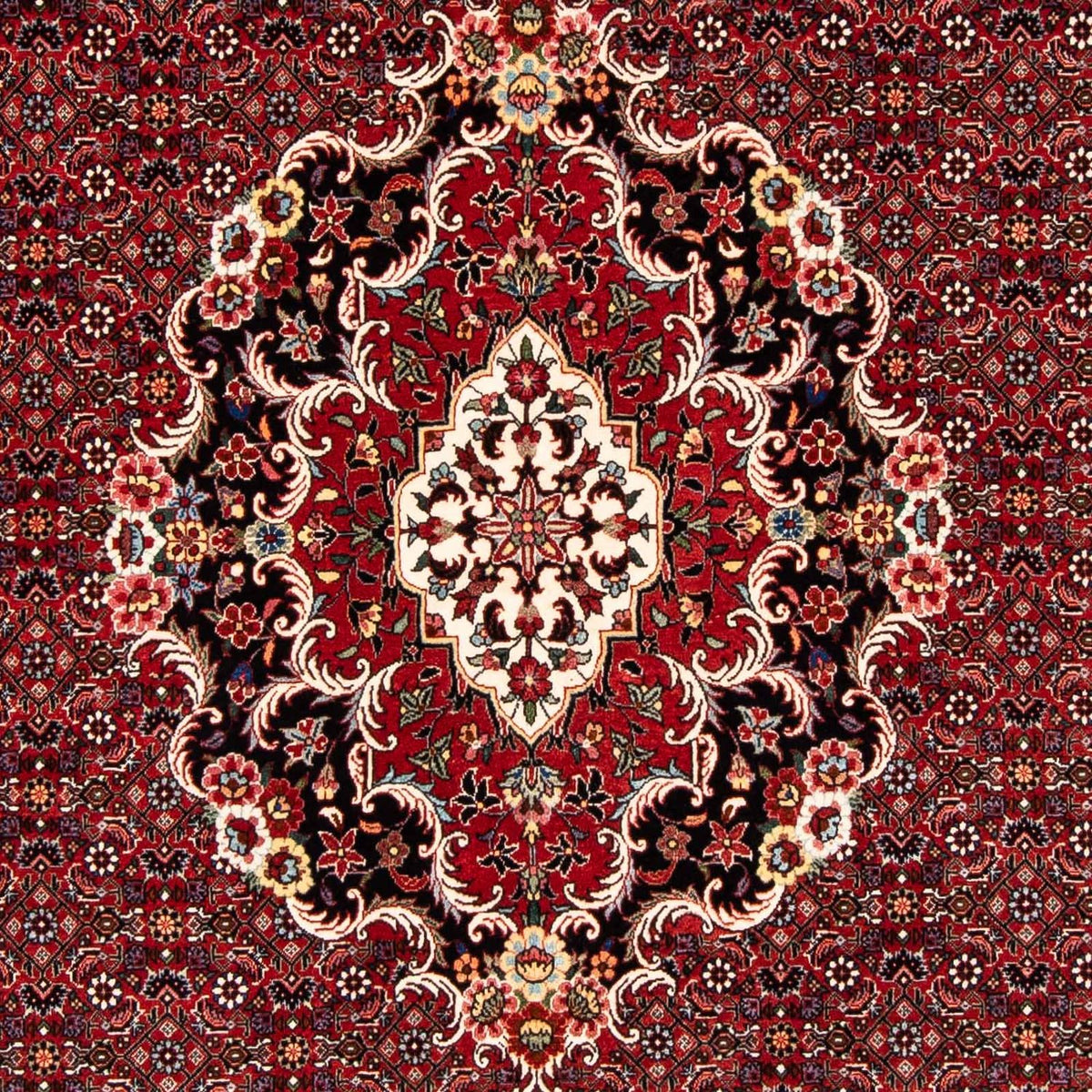 Alfombra persa - Bidjar - 229 x 172 cm - rojo oscuro