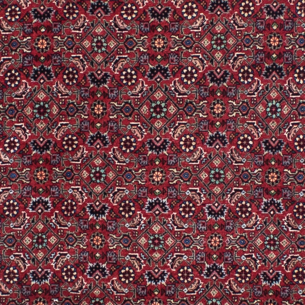 Alfombra de pasillo Alfombra persa - Bidjar - 295 x 84 cm - rojo oscuro