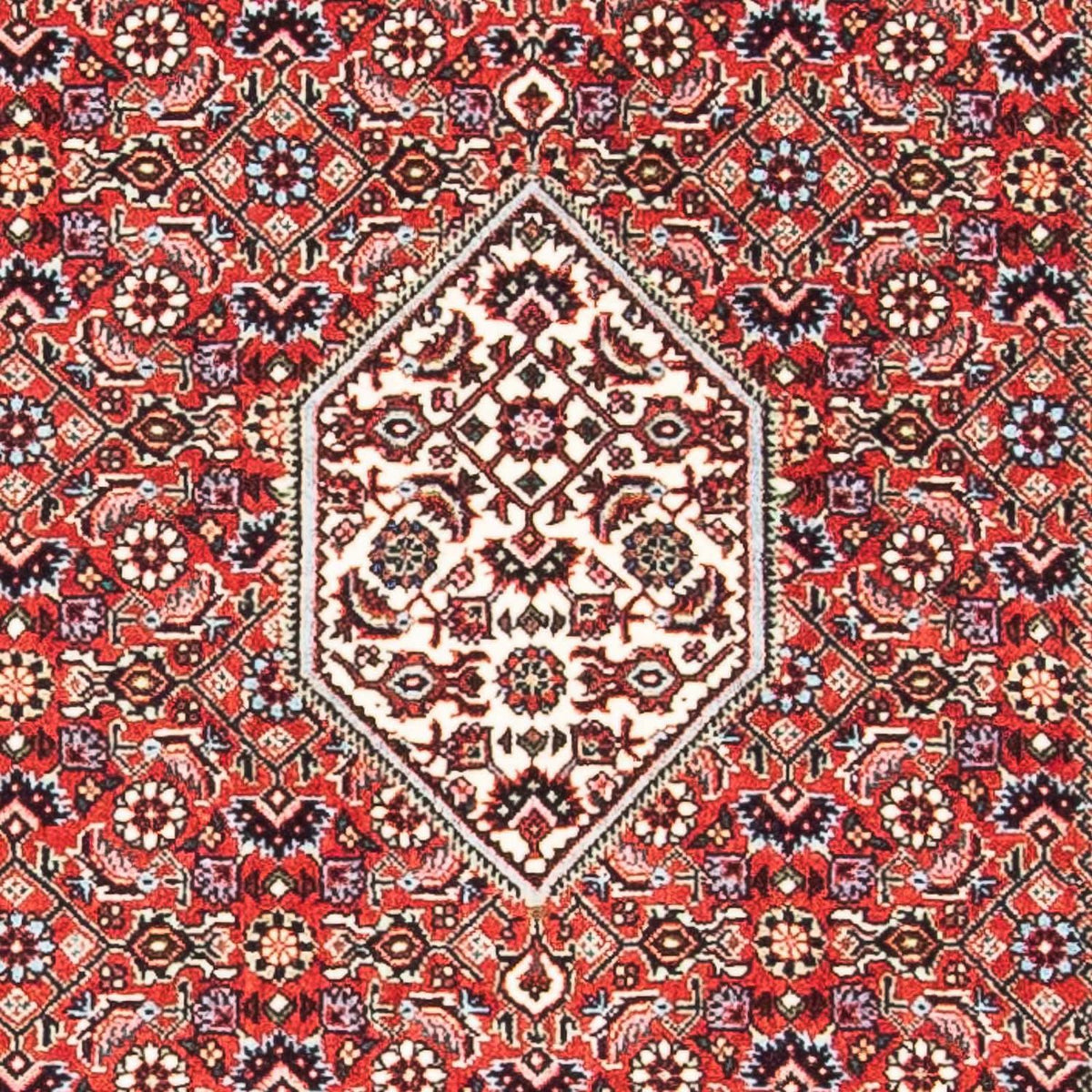 Alfombra persa - Bidjar - 140 x 83 cm - rojo