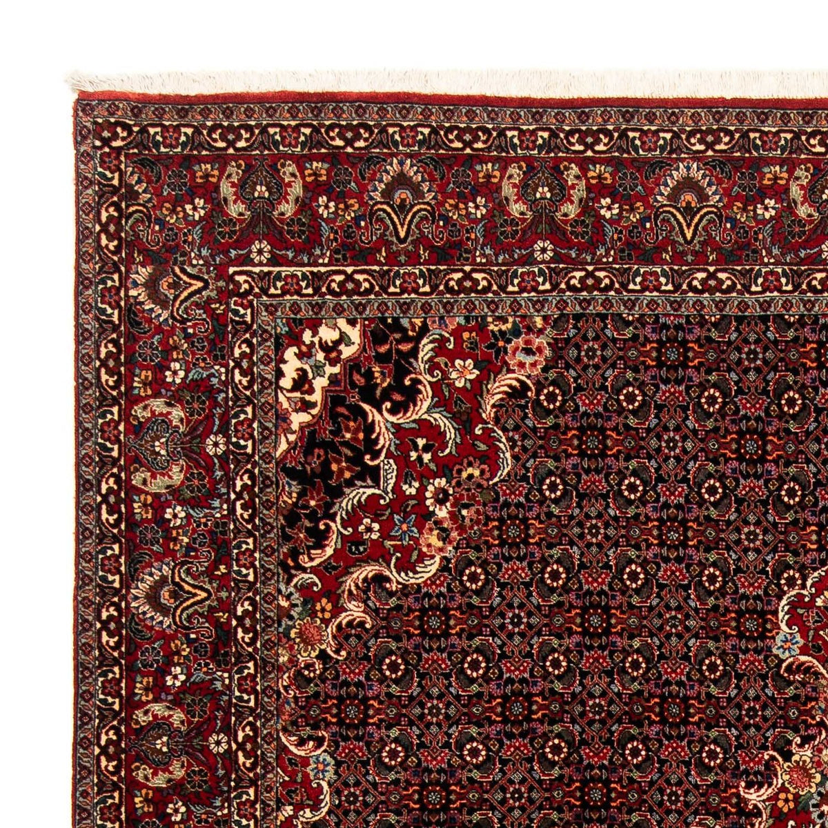 Alfombra persa - Bidjar - 252 x 200 cm - rojo oscuro