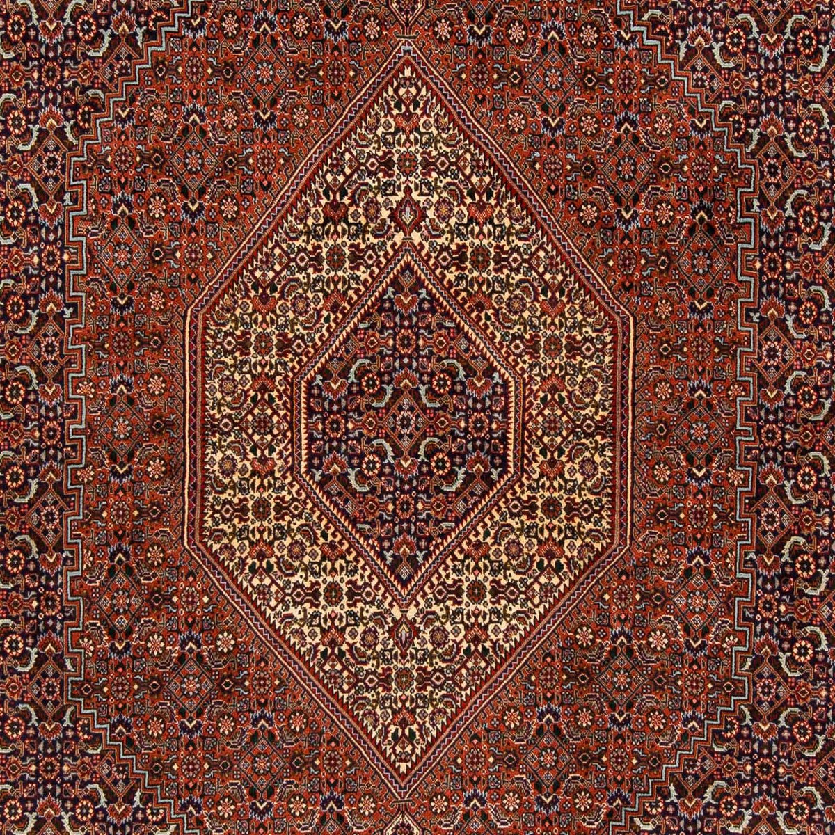 Alfombra persa - Bidjar - 222 x 203 cm - marrón