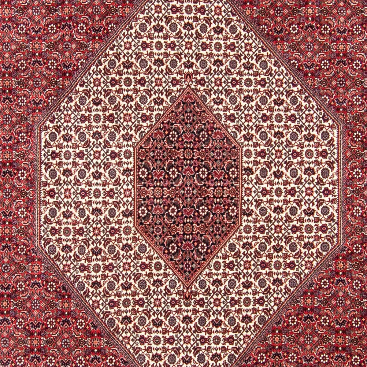 Alfombra persa - Bidjar - 314 x 253 cm - rojo oscuro