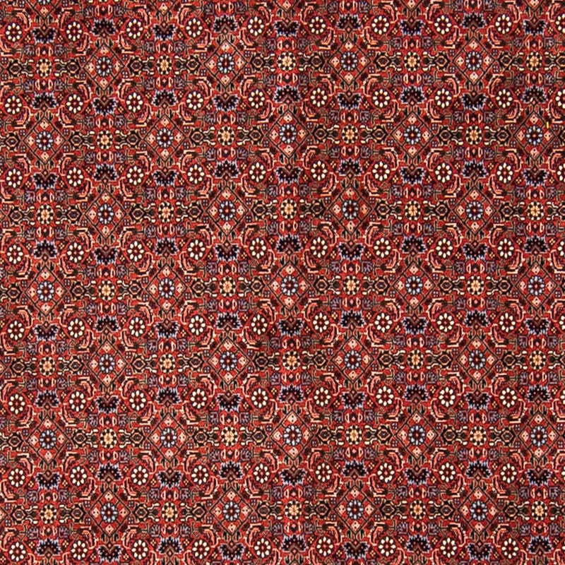 Alfombra persa - Bidjar - 308 x 254 cm - rojo oscuro