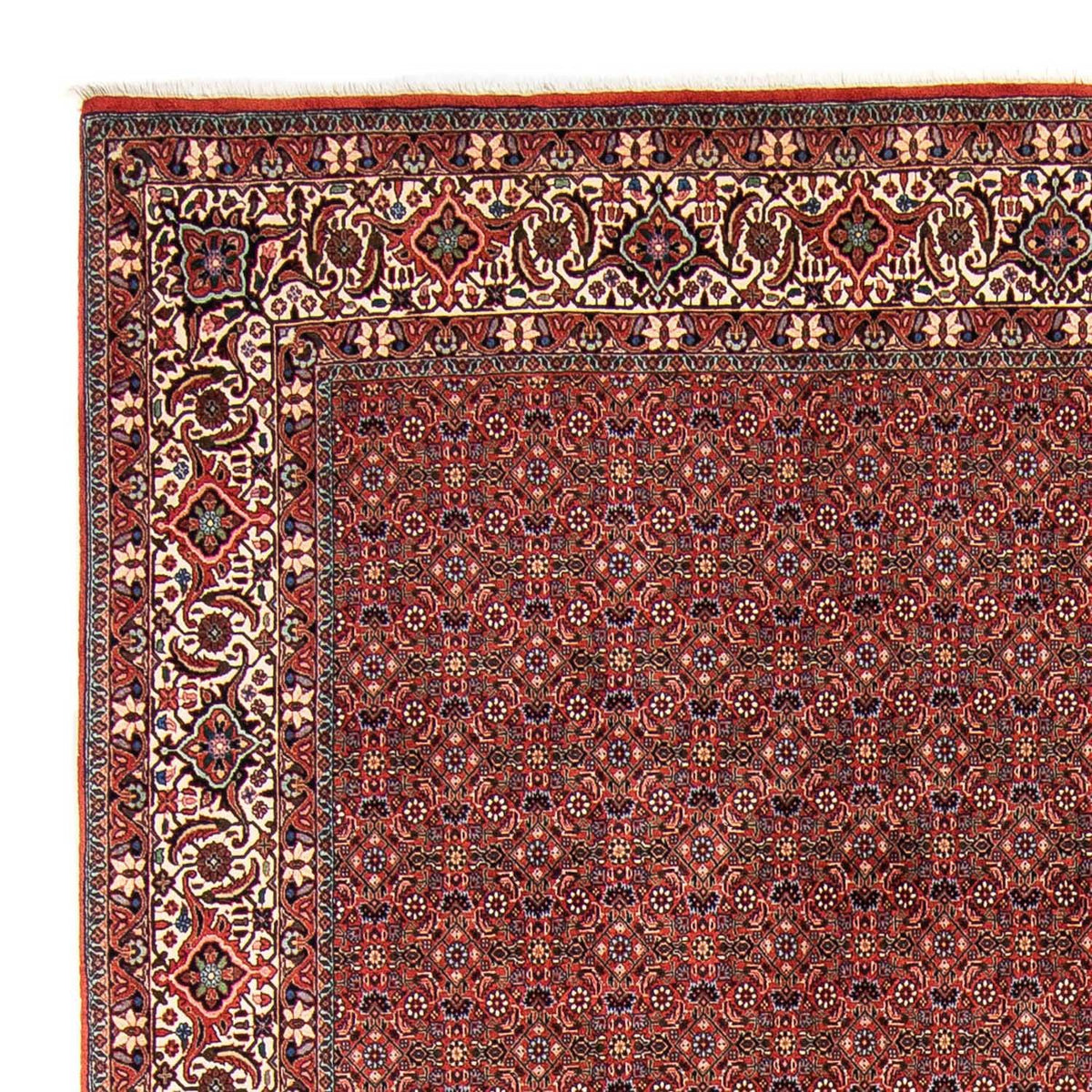 Alfombra persa - Bidjar - 308 x 254 cm - rojo oscuro