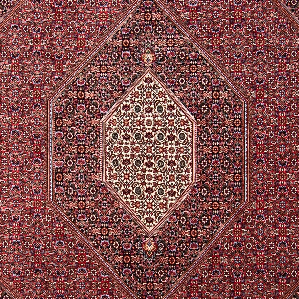 Alfombra persa - Bidjar - 298 x 258 cm - rojo