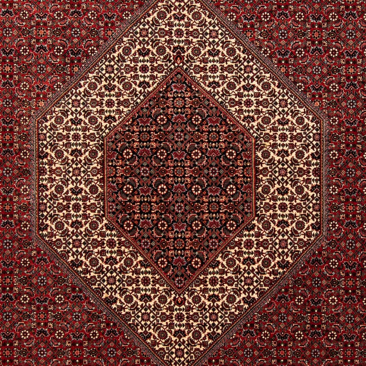 Alfombra persa - Bidjar - 253 x 202 cm - rojo oscuro