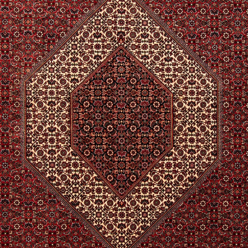 Alfombra persa - Bidjar - 253 x 202 cm - rojo oscuro