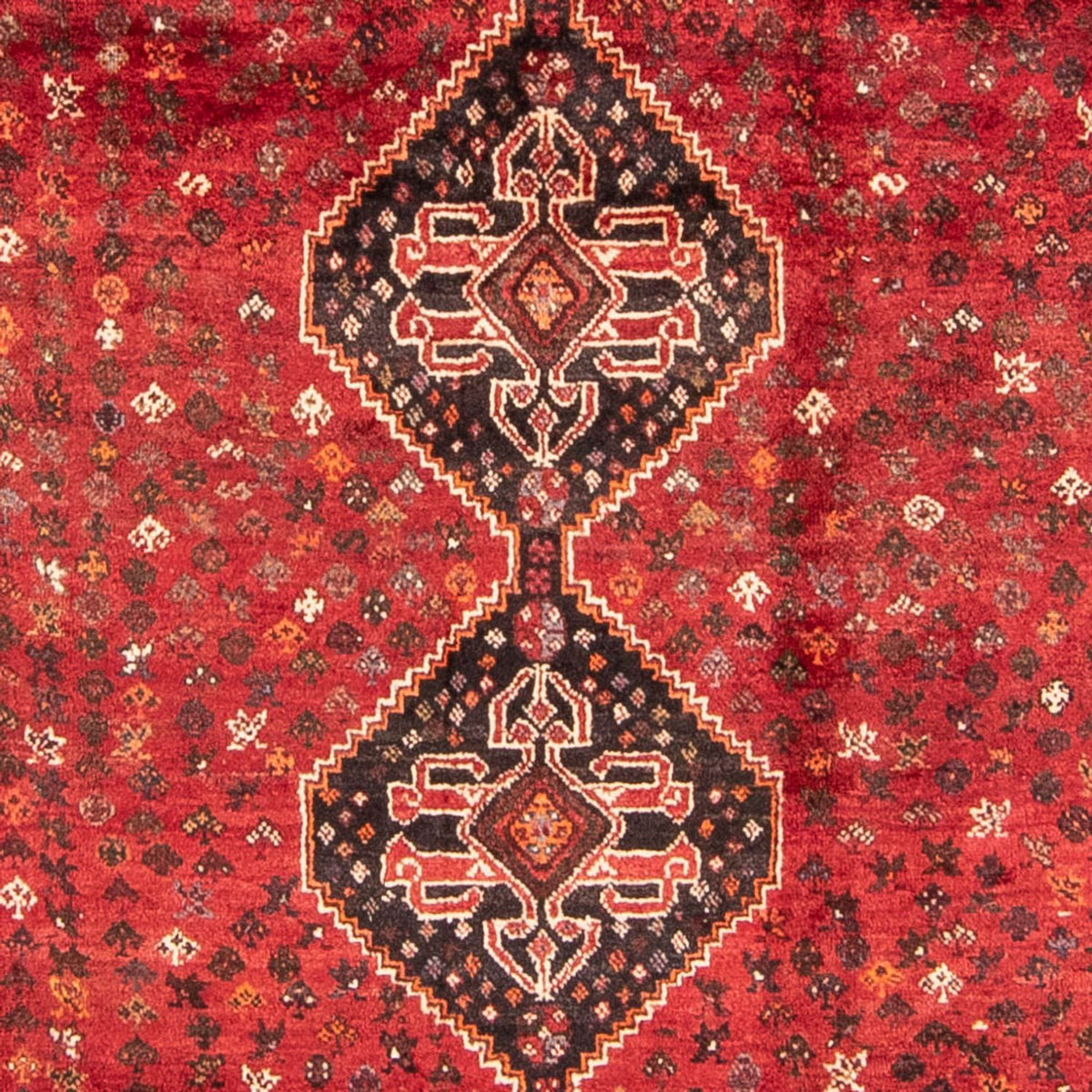 Alfombra persa - Nómada - 310 x 227 cm - rojo oscuro