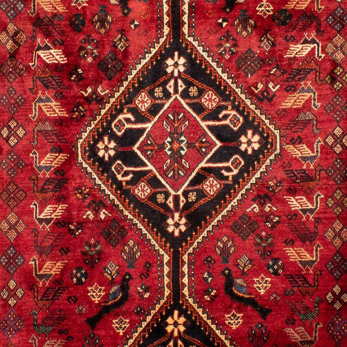 Alfombra persa - Nómada - 330 x 228 cm - rojo