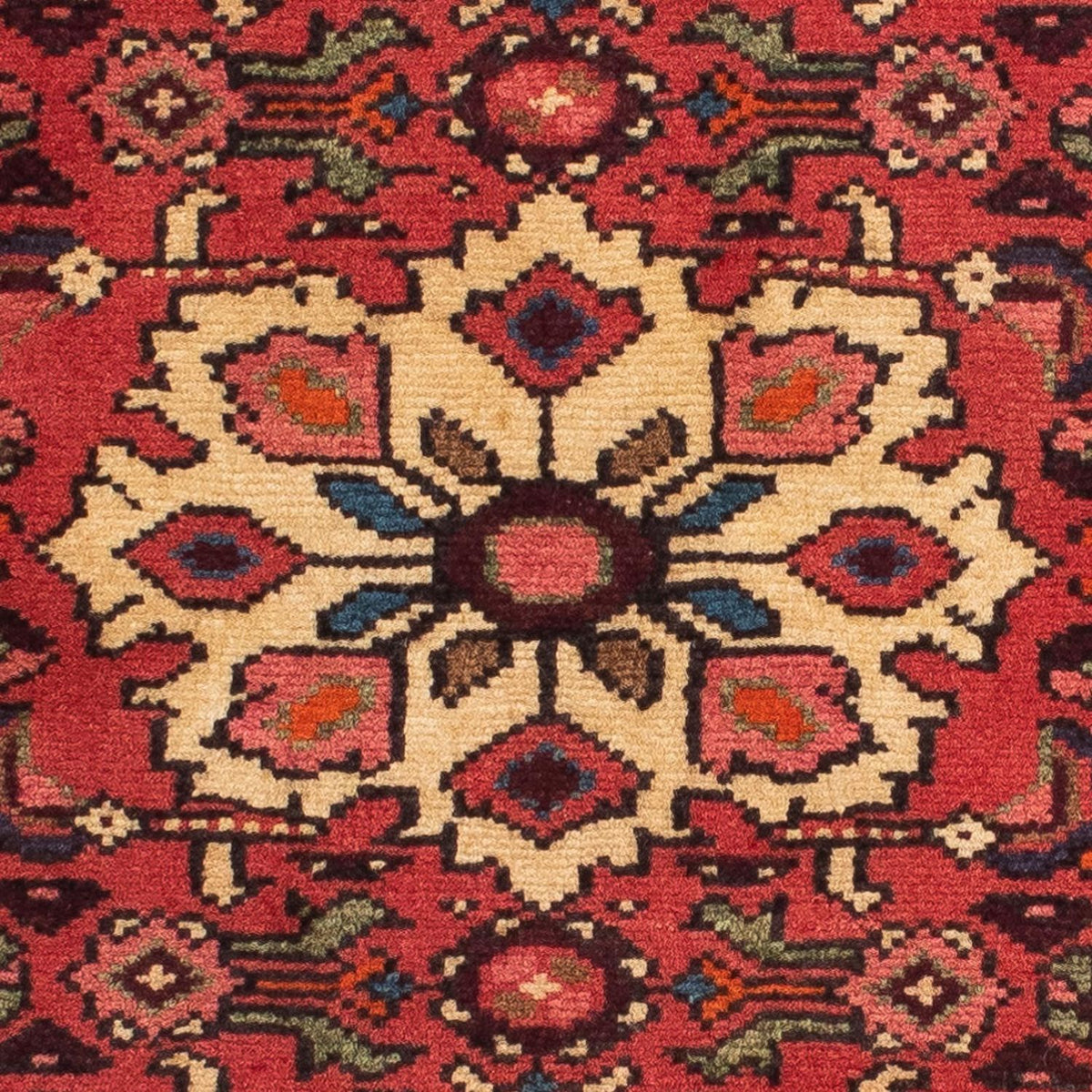 Alfombra de pasillo Alfombra persa - Nómada - 200 x 78 cm - rojo oscuro