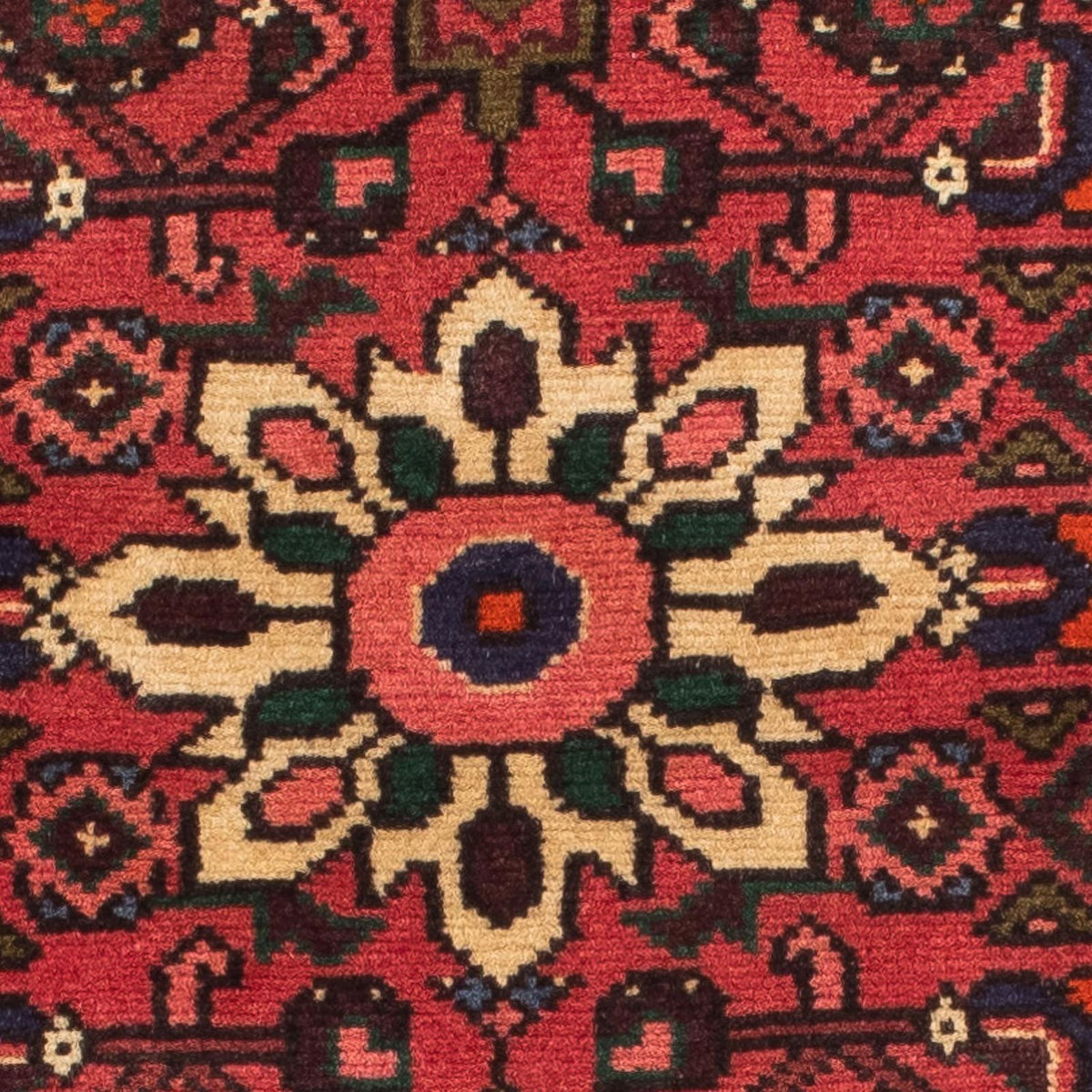 Alfombra de pasillo Alfombra persa - Nómada - 200 x 72 cm - rojo oscuro