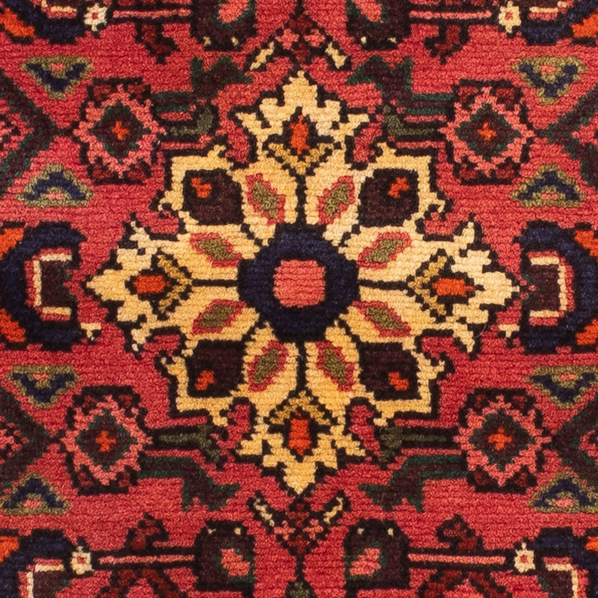 Alfombra de pasillo Alfombra persa - Nómada - 203 x 68 cm - rojo oscuro
