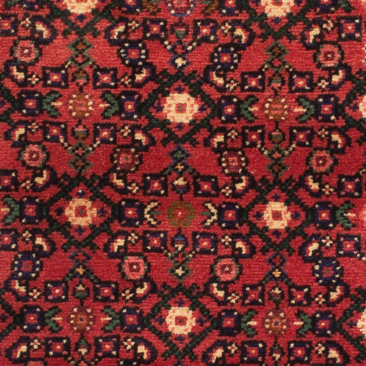 Alfombra de pasillo Alfombra persa - Nómada - 200 x 73 cm - rojo oscuro
