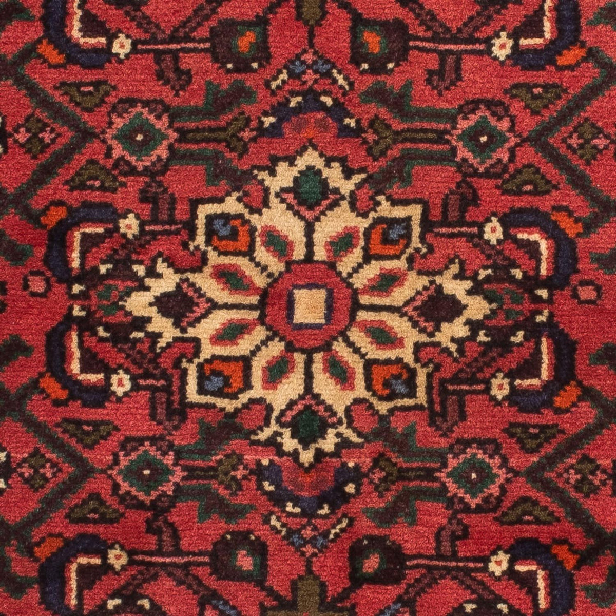 Alfombra de pasillo Alfombra persa - Nómada - 196 x 70 cm - rojo oscuro