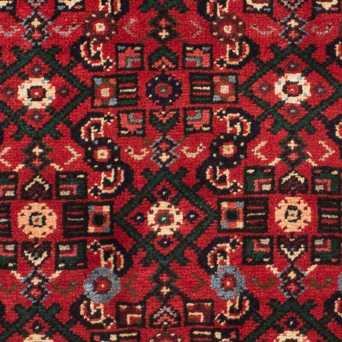 Alfombra de pasillo Alfombra persa - Nómada - 210 x 76 cm - rojo oscuro