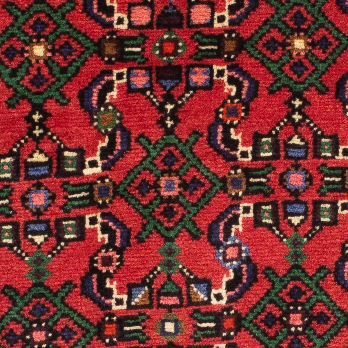 Alfombra de pasillo Alfombra persa - Nómada - 200 x 80 cm - rojo oscuro