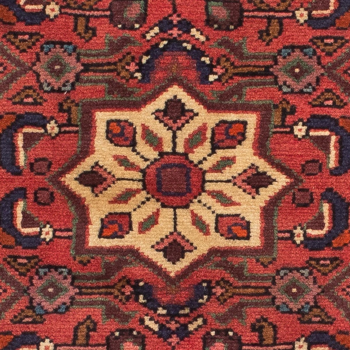 Alfombra de pasillo Alfombra persa - Nómada - 192 x 70 cm - rojo oscuro