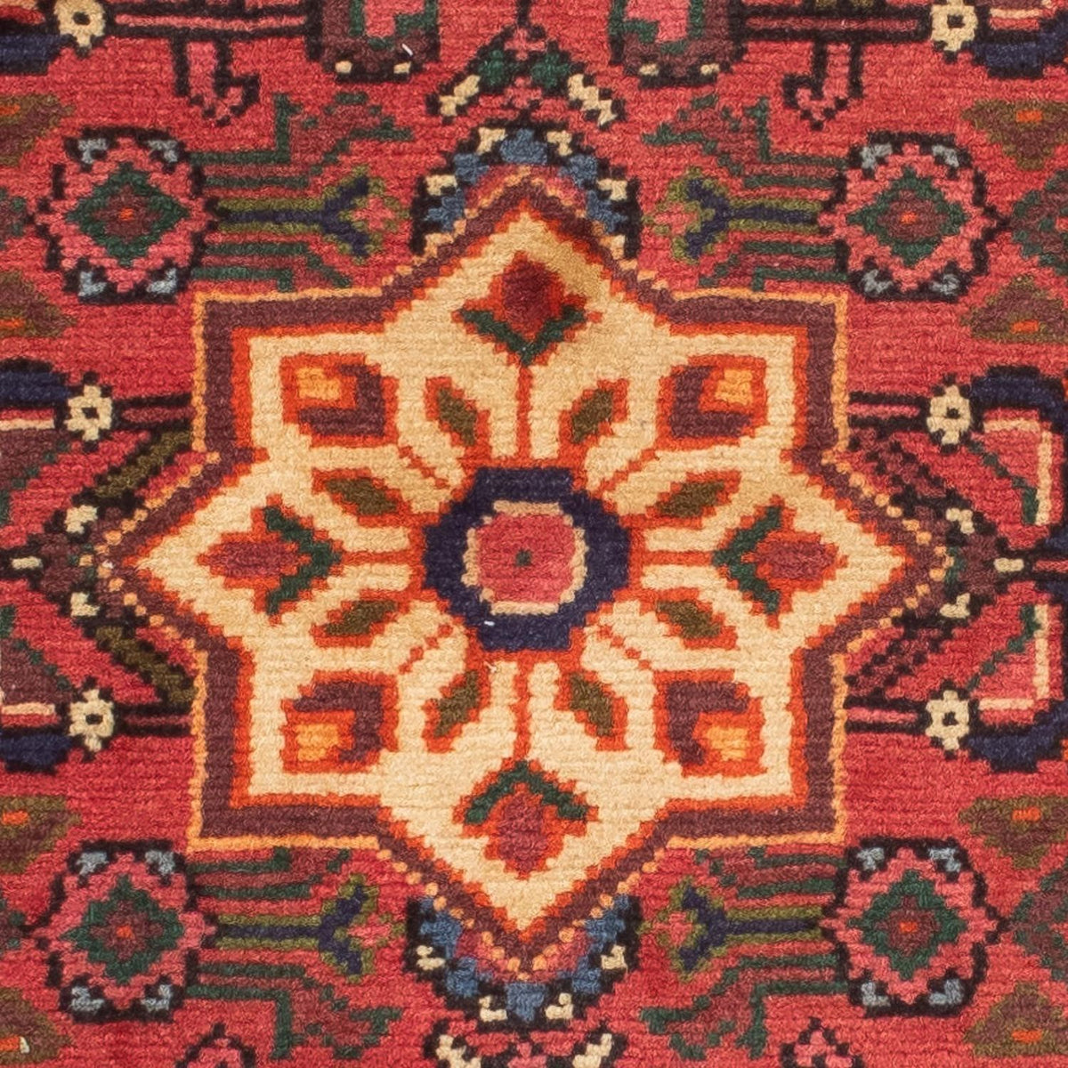 Alfombra de pasillo Alfombra persa - Nómada - 210 x 73 cm - rojo oscuro