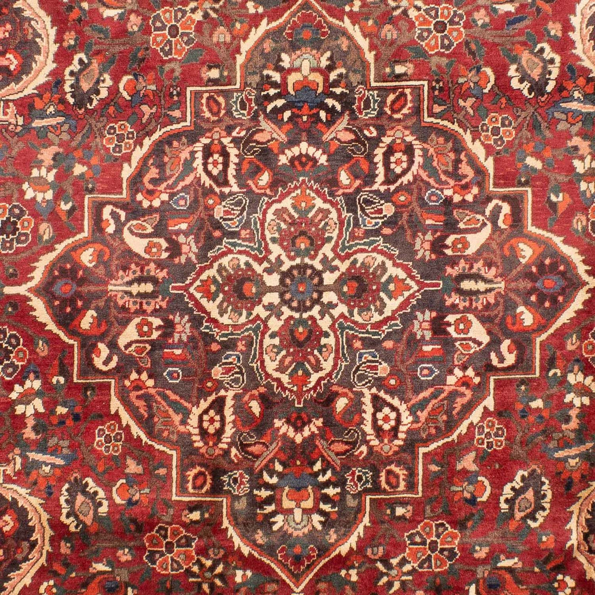 Alfombra persa - Nómada - 294 x 205 cm - rojo