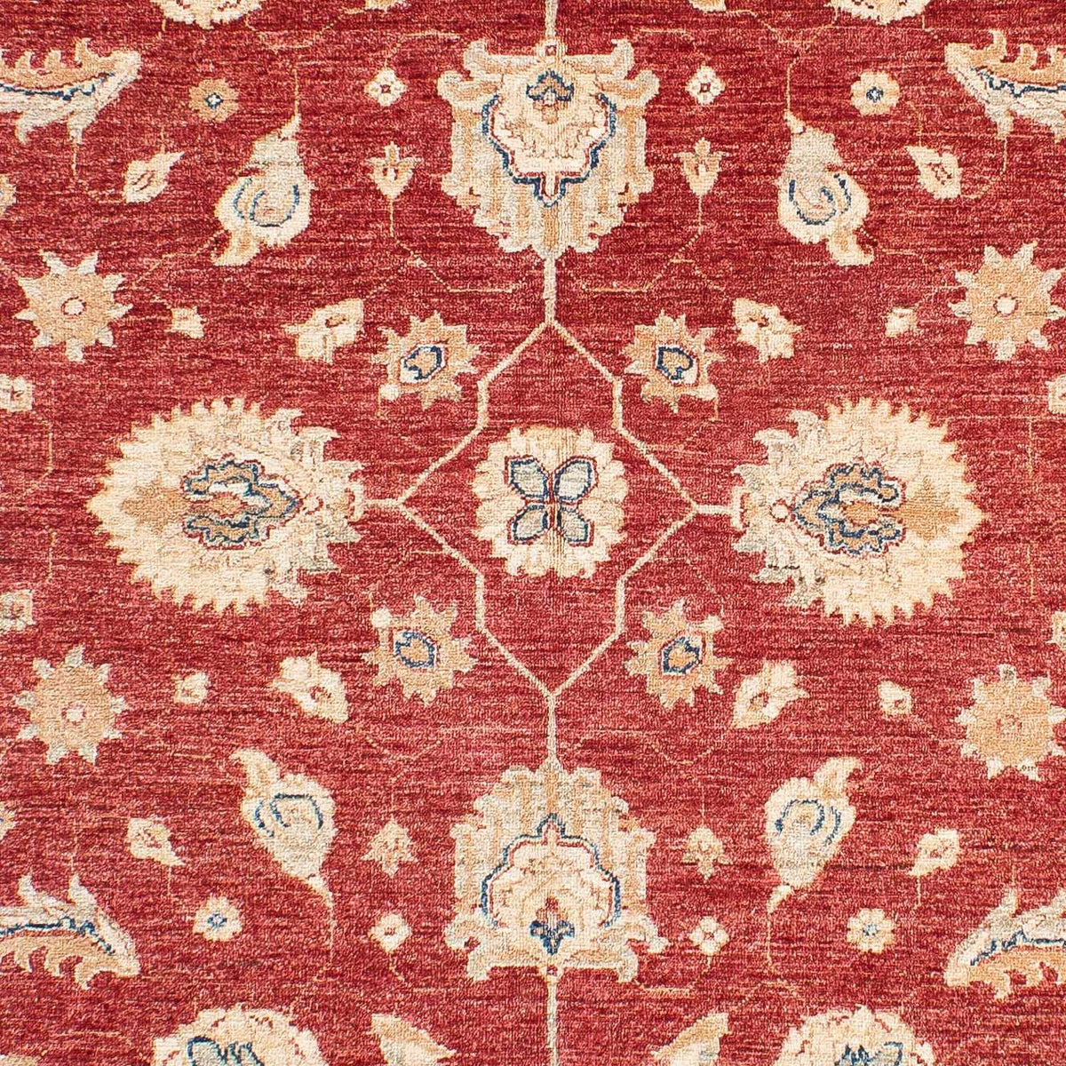 Alfombra Ziegler - 234 x 167 cm - rojo oscuro