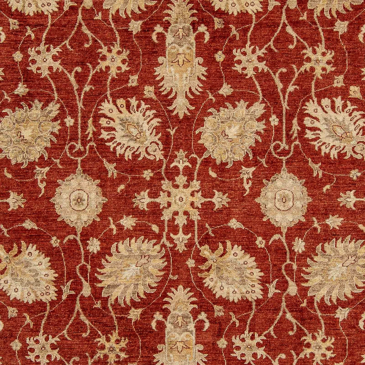 Alfombra Ziegler - 295 x 249 cm - rojo oscuro