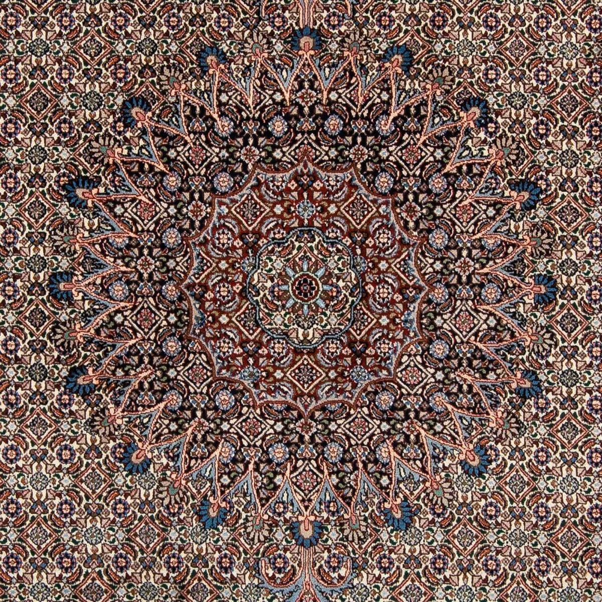 Alfombra persa - Clásica - 289 x 202 cm - beige