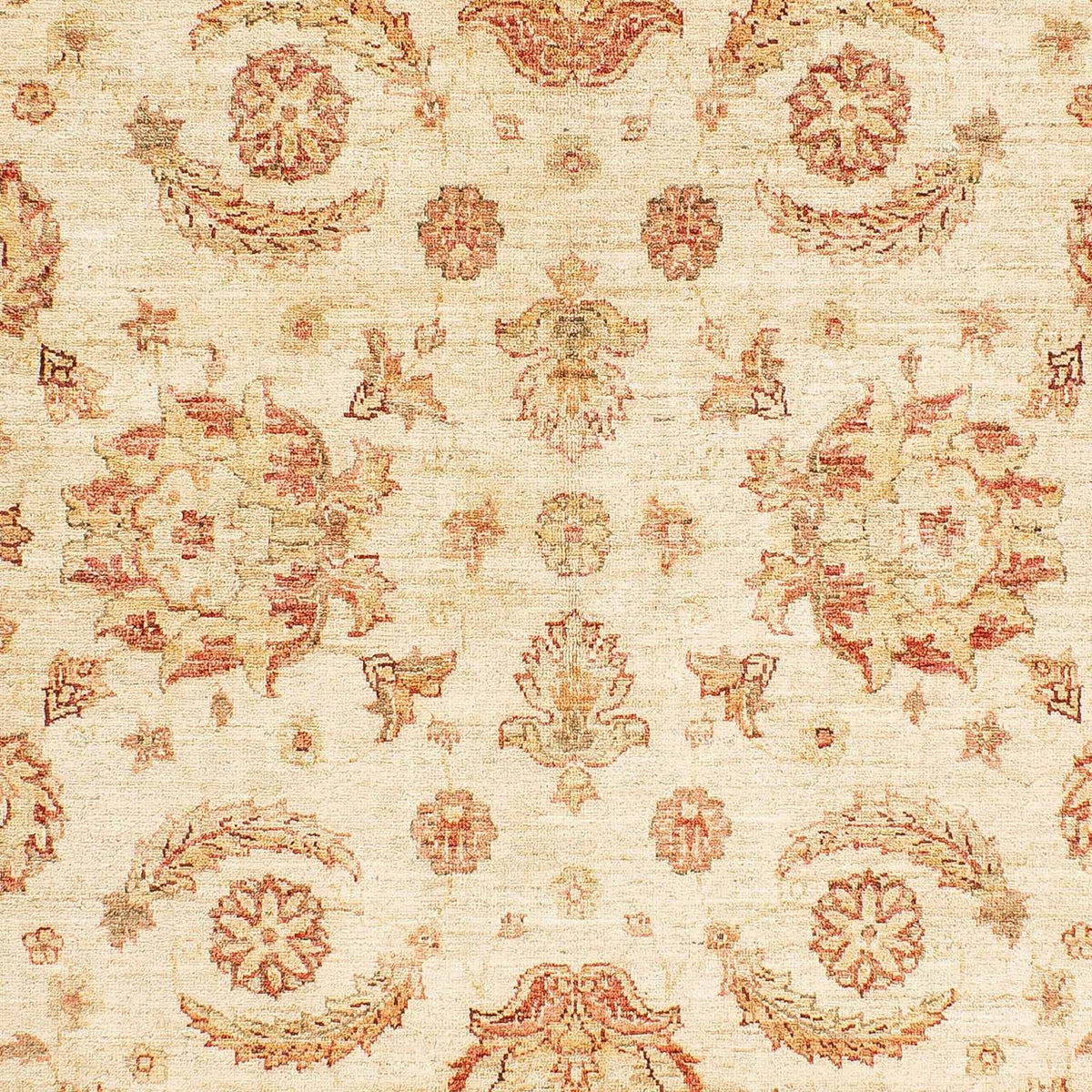 Alfombra Ziegler - 241 x 162 cm - beige