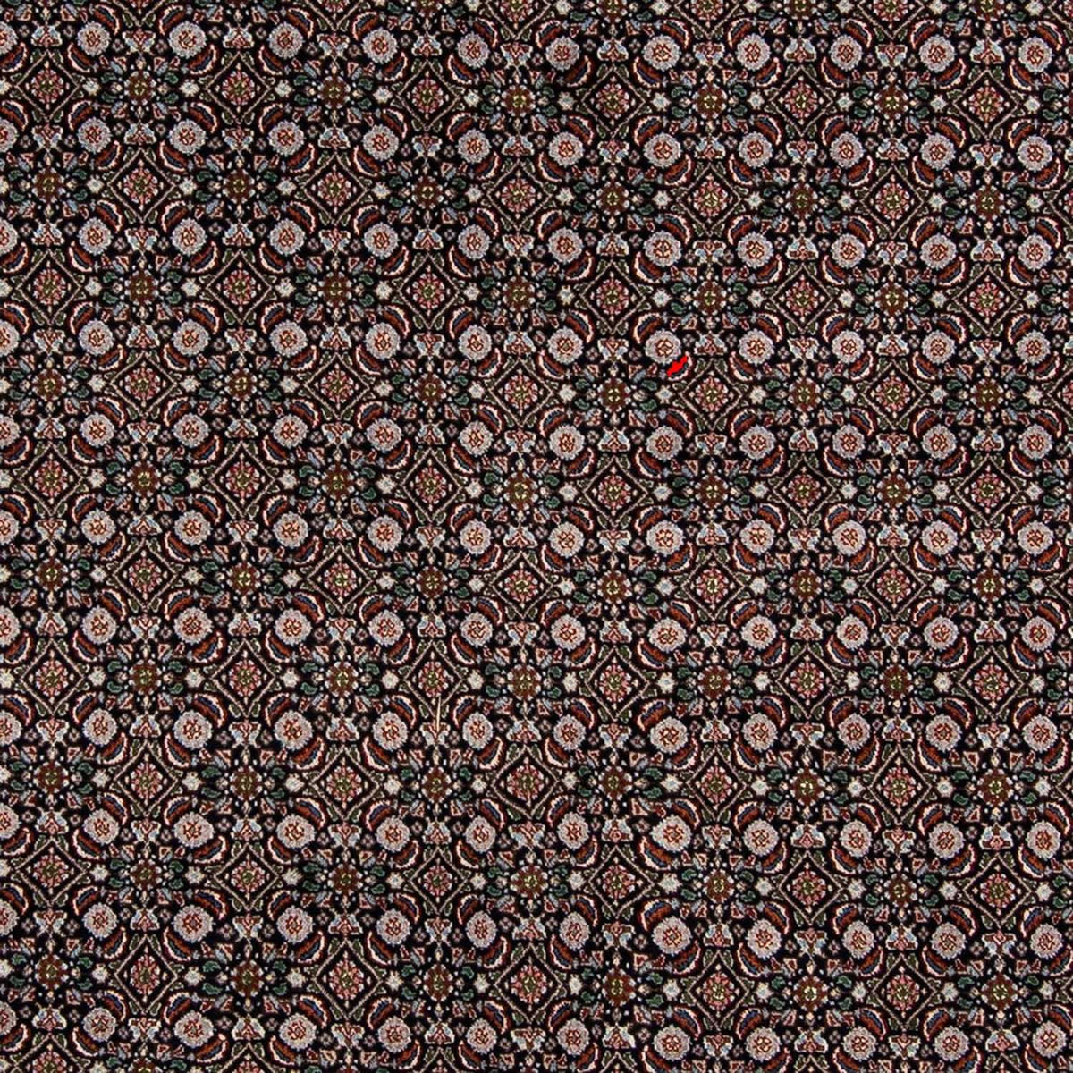 Alfombra persa - Clásica - 295 x 192 cm - azul oscuro