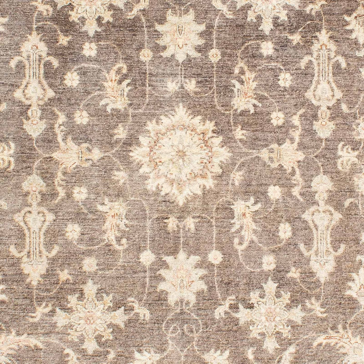 Alfombra Ziegler - 236 x 166 cm - beige