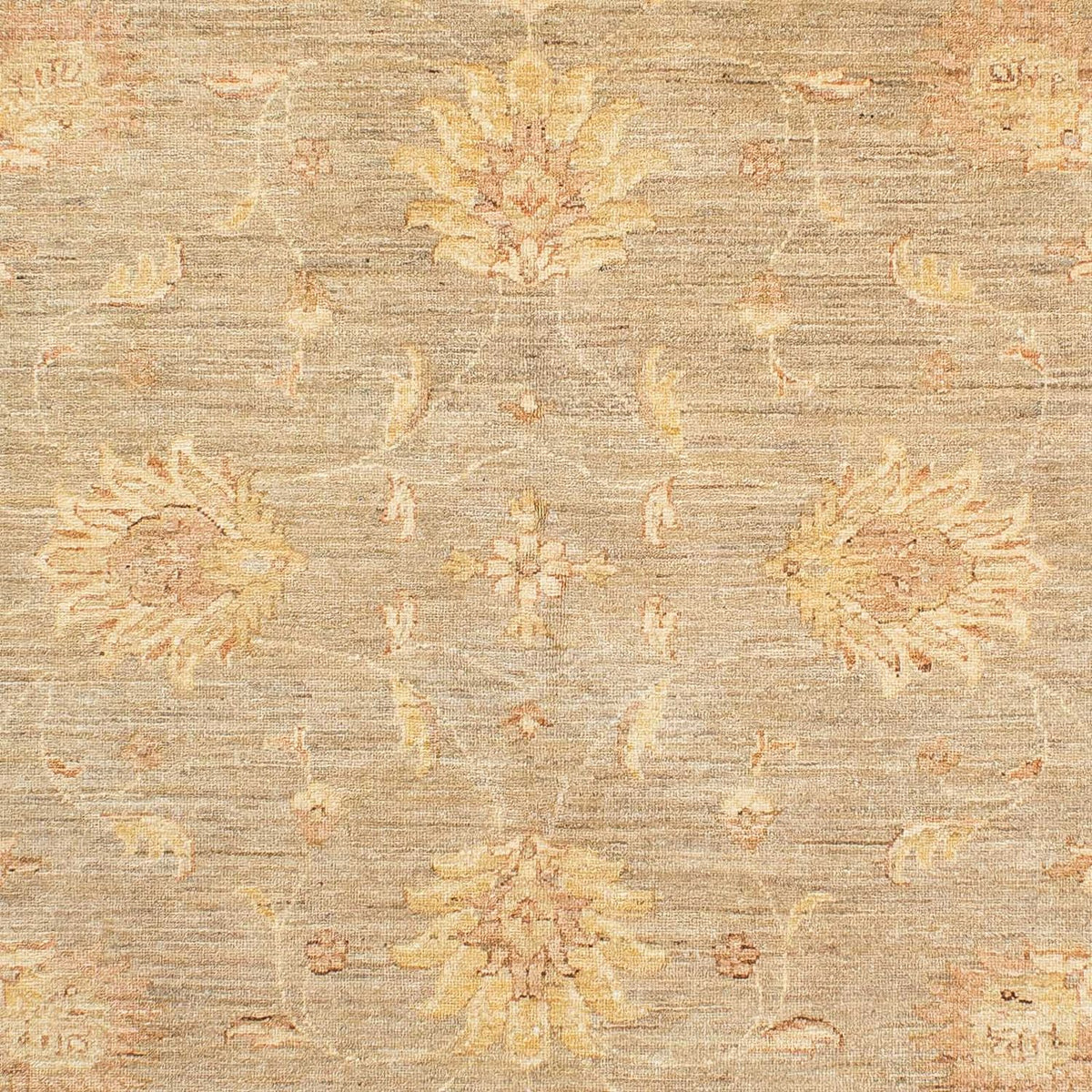 Alfombra Ziegler - 241 x 175 cm - beige