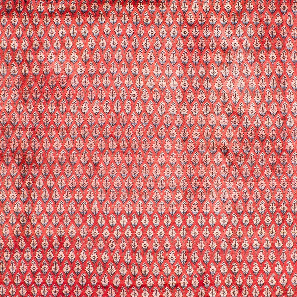Alfombra persa - Mir - 317 x 219 cm - rojo
