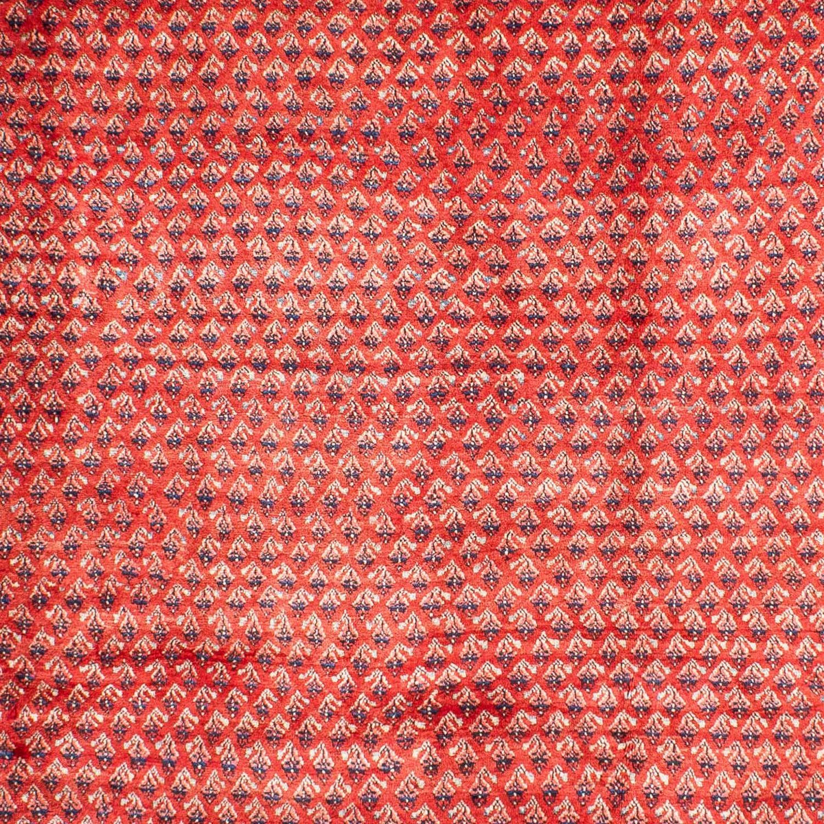 Alfombra persa - Mir - 316 x 220 cm - rojo