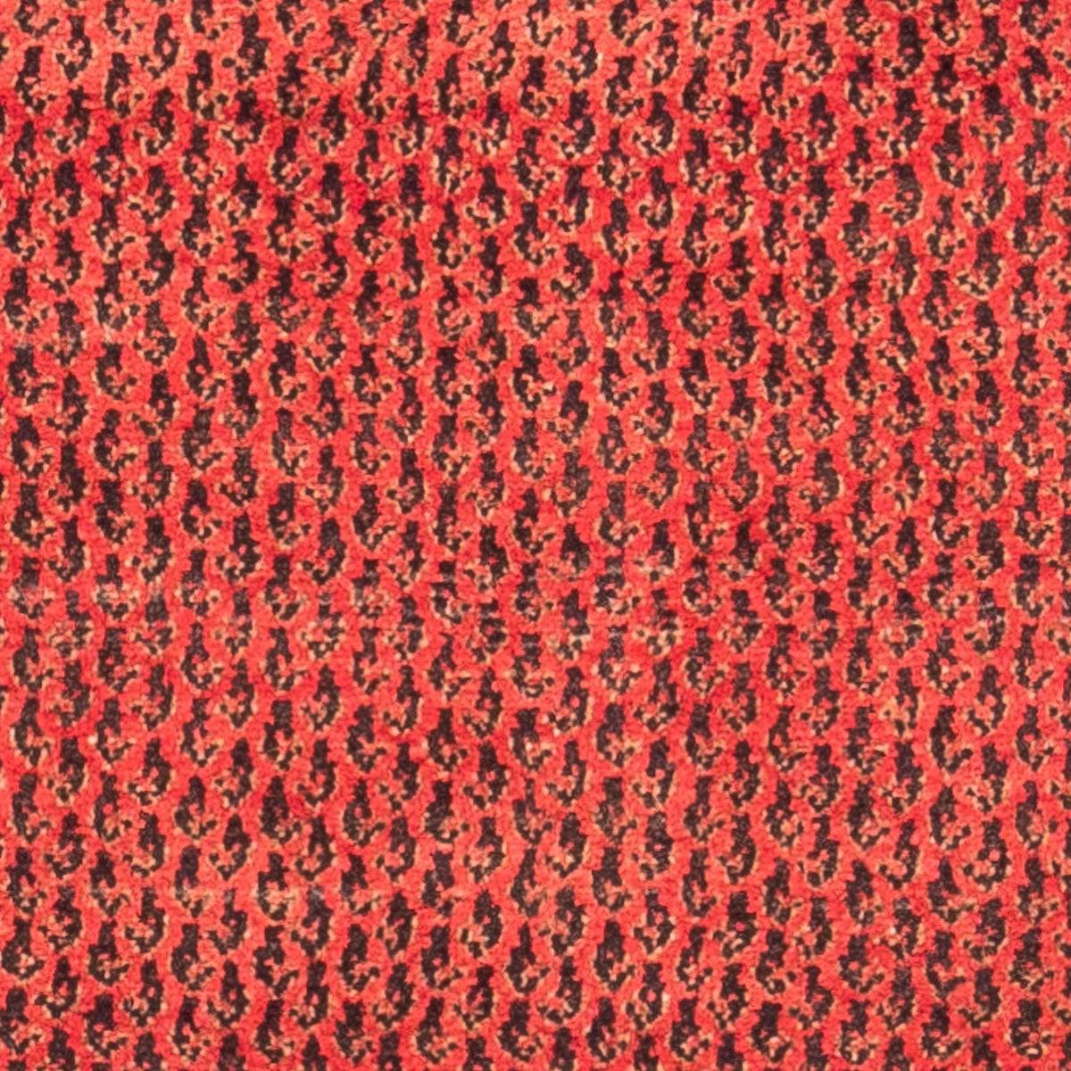 Alfombra de pasillo Alfombra persa - Nómada - 312 x 112 cm - rojo
