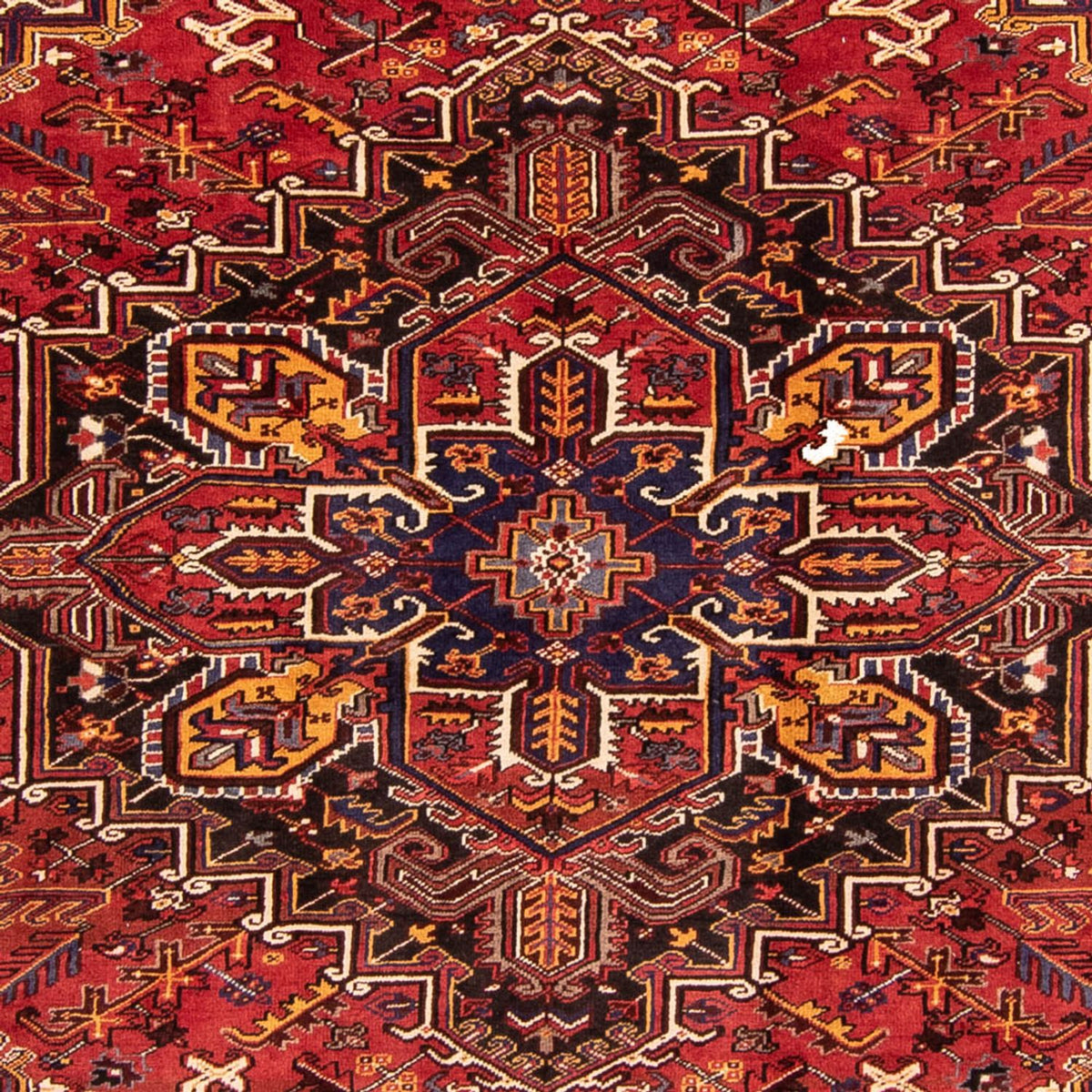 Alfombra persa - Nómada - 329 x 254 cm - rojo oscuro