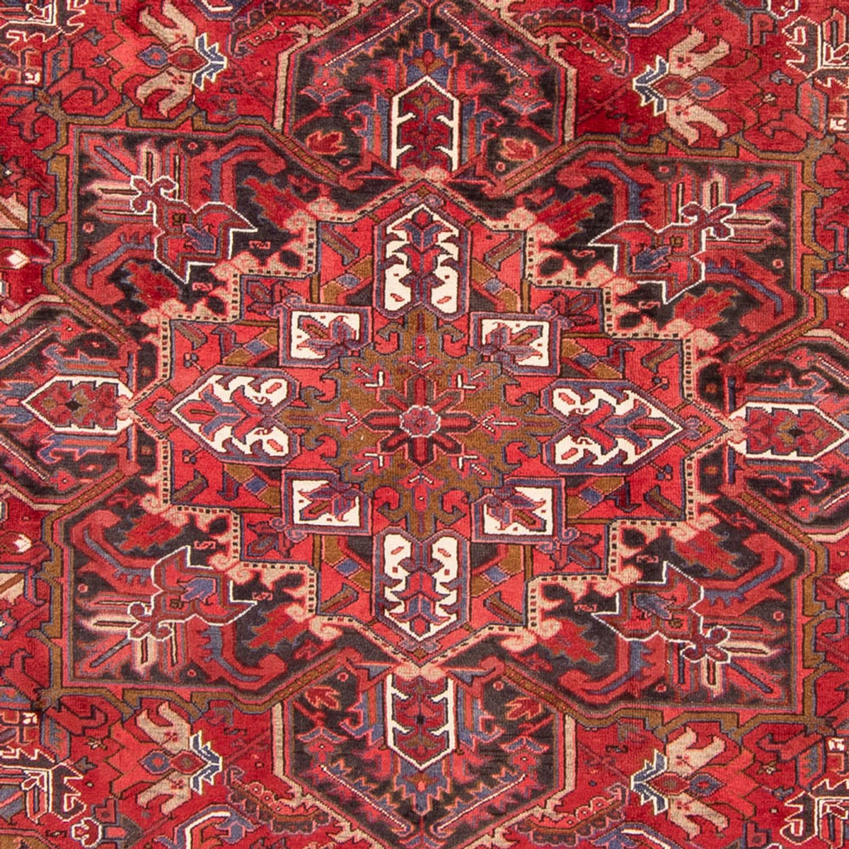 Alfombra persa - Nómada - 326 x 247 cm - rojo oscuro