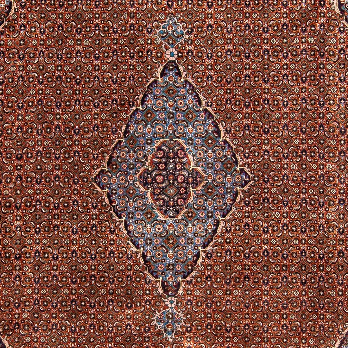 Alfombra persa - Nómada - 290 x 197 cm - multicolor
